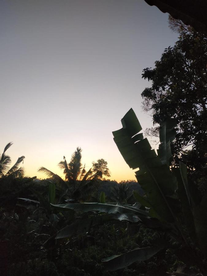 Tetebatu Mountain View Homestay Exterior photo