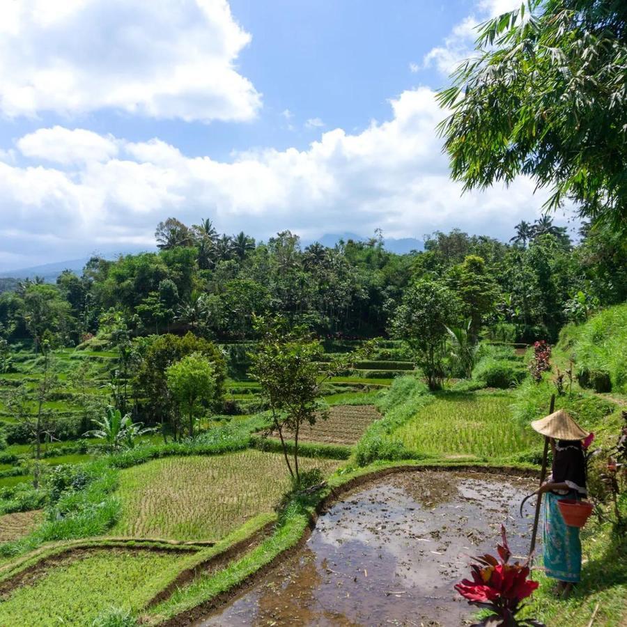 Tetebatu Mountain View Homestay Exterior photo
