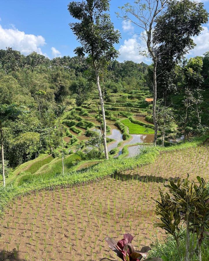 Tetebatu Mountain View Homestay Exterior photo
