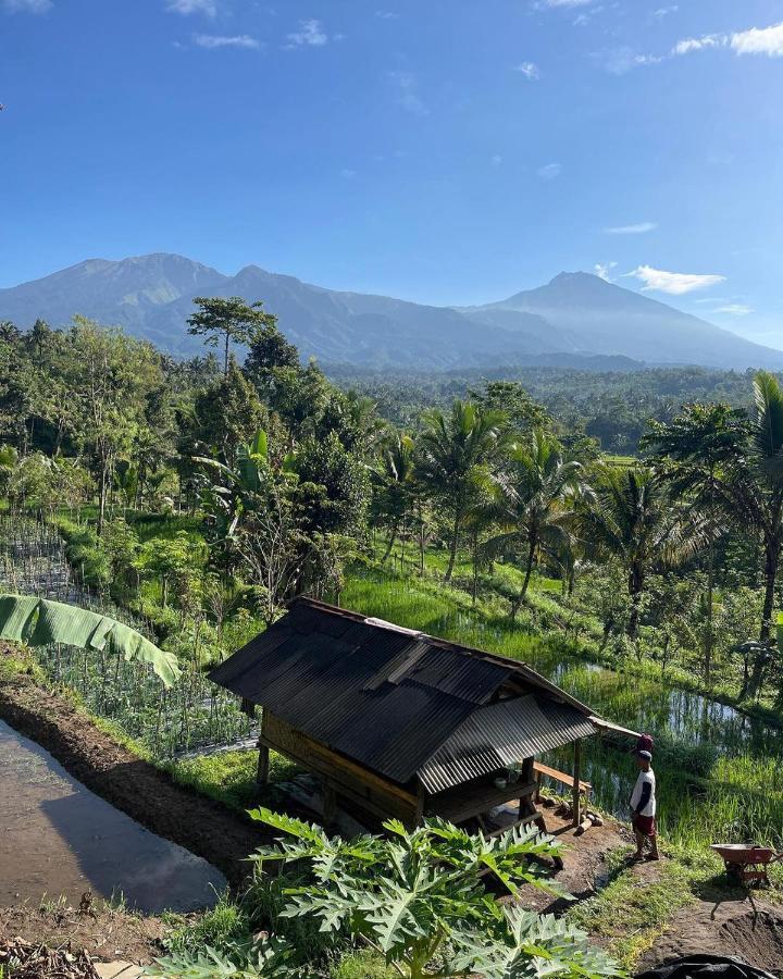 Tetebatu Mountain View Homestay Exterior photo