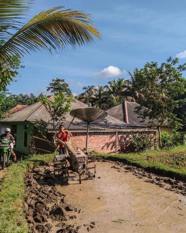 Tetebatu Mountain View Homestay Exterior photo