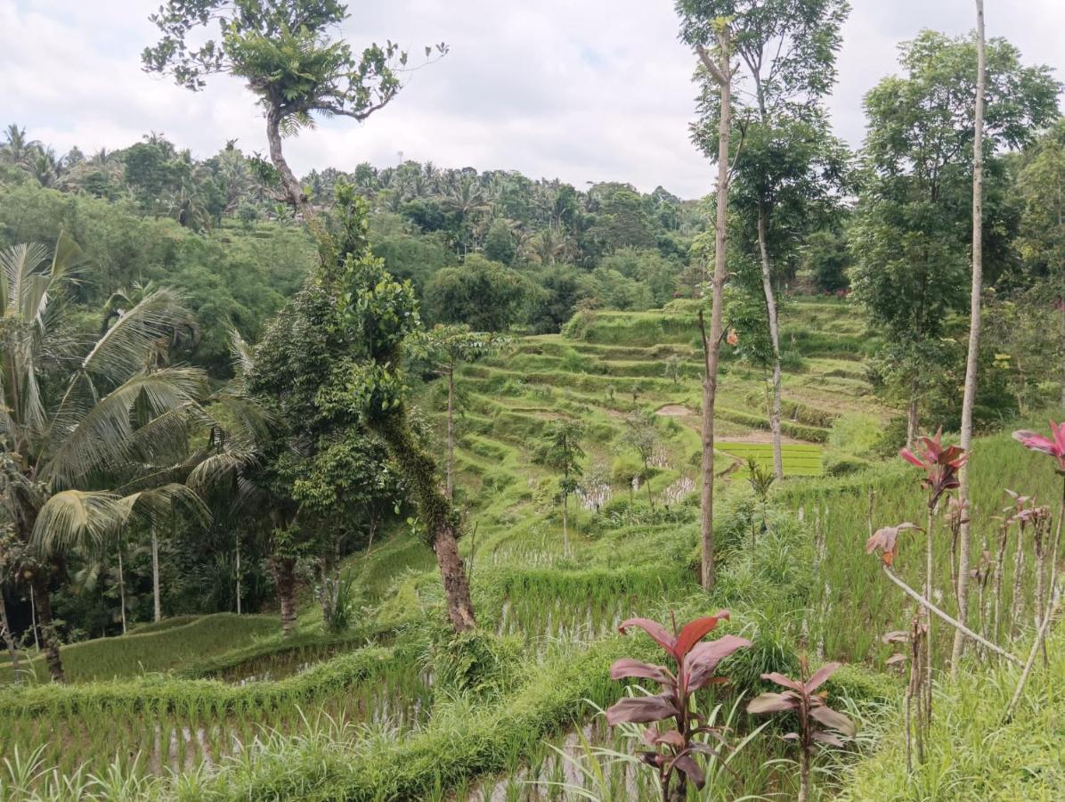 Tetebatu Mountain View Homestay Exterior photo