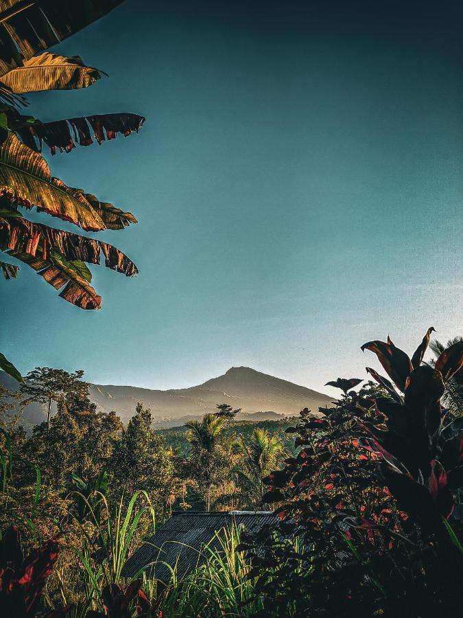 Tetebatu Mountain View Homestay Exterior photo