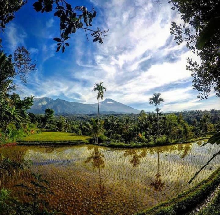 Tetebatu Mountain View Homestay Room photo
