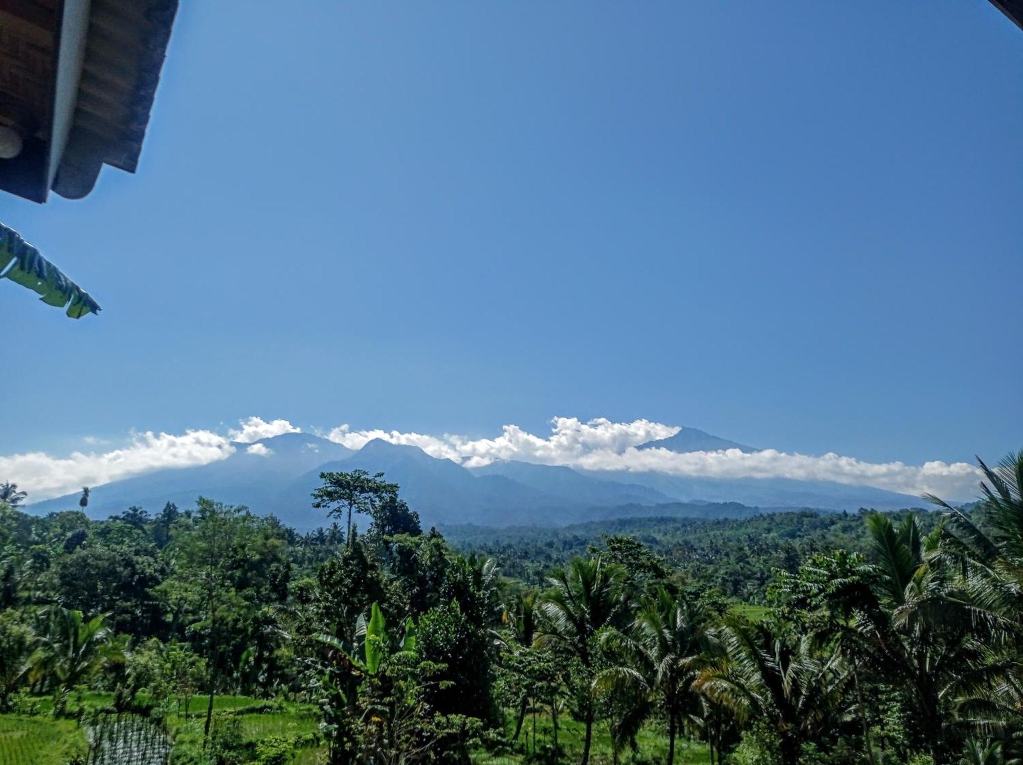 Tetebatu Mountain View Homestay Room photo
