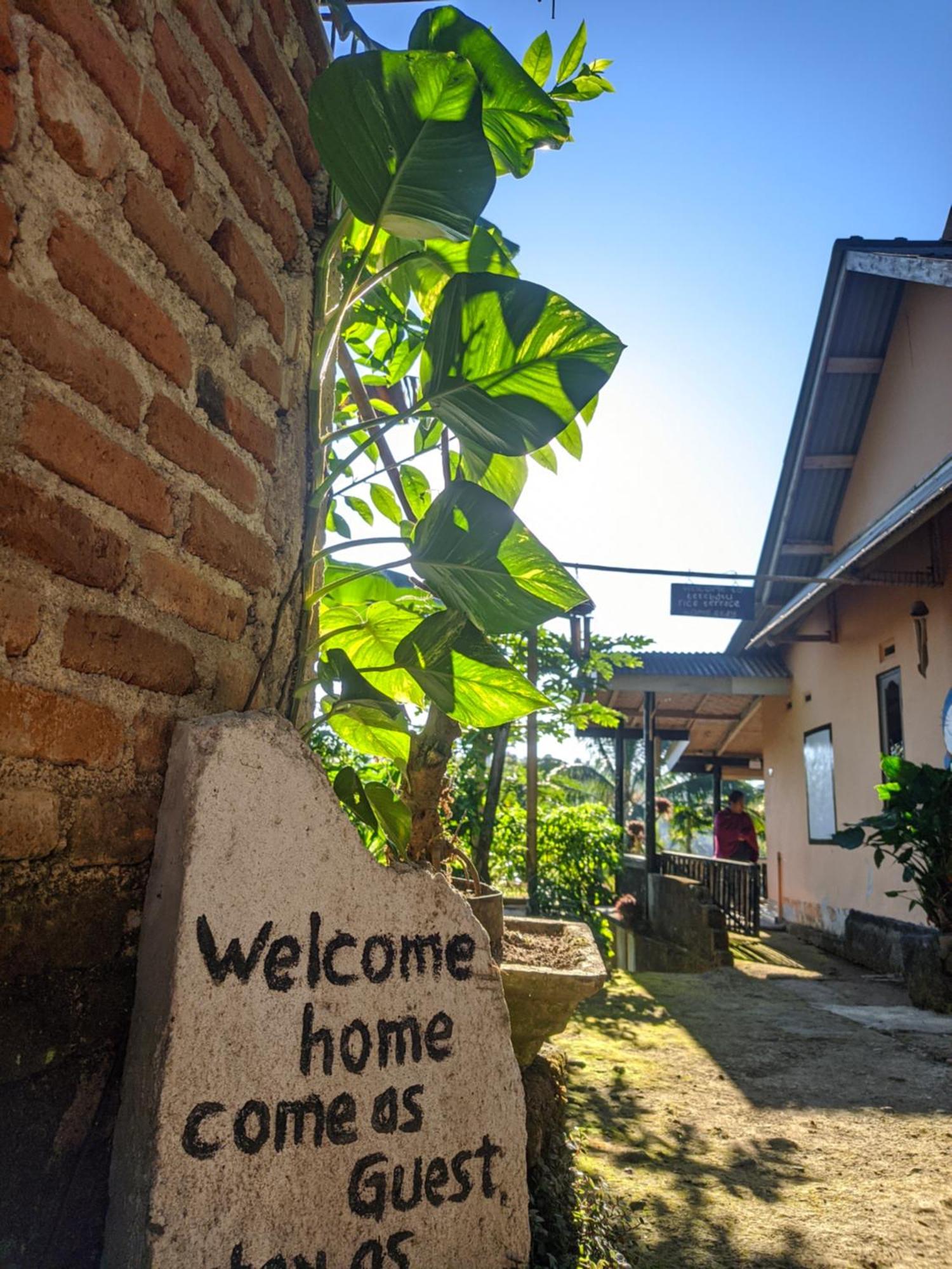 Tetebatu Mountain View Homestay Room photo